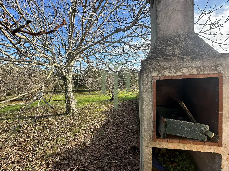 Masia a Ostuni, Brindisi - foto 3